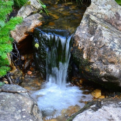 О качестве воды родников.